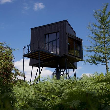 Treeangle - K1 Baumhaus Villa Odenthal Ngoại thất bức ảnh