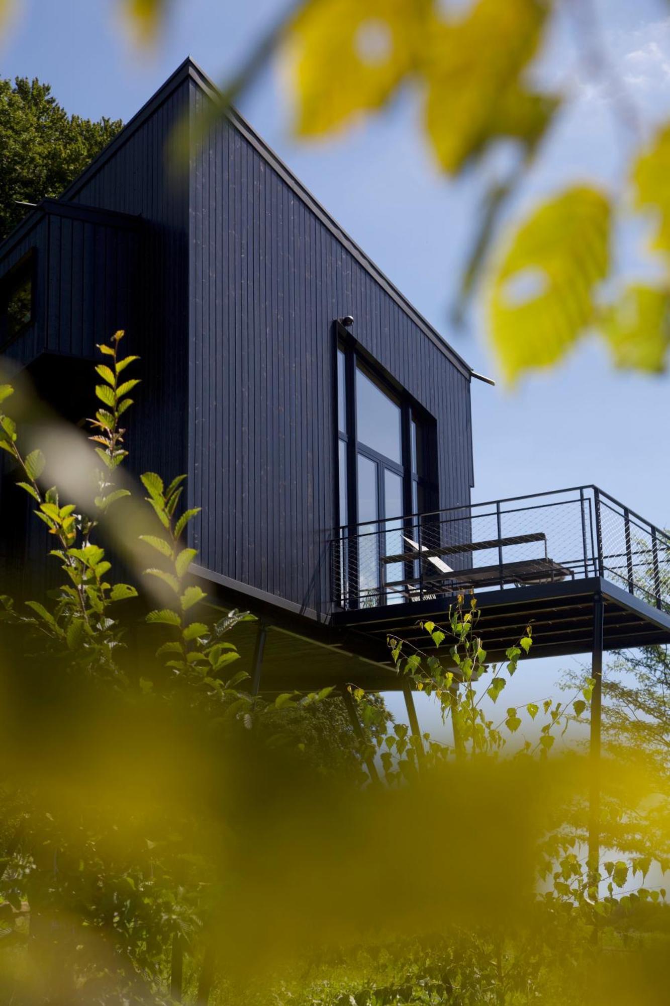 Treeangle - K1 Baumhaus Villa Odenthal Ngoại thất bức ảnh